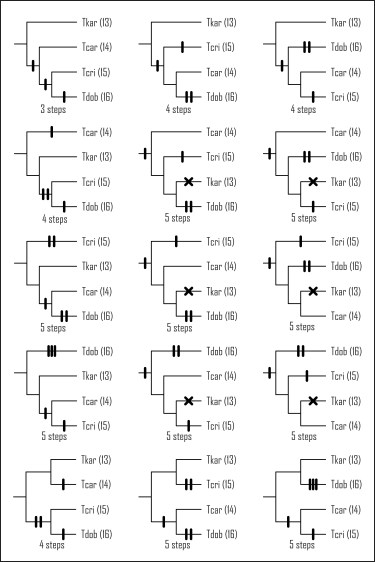 15 tree topologies