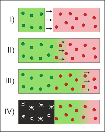 mtDNA capture