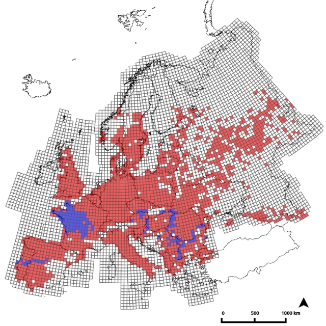 This is an overview of all the European grid cells that have Triturus localities (with cells having more than one species coloured blue rather than red). Maps for the individual species are published with the paper.